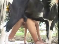 The girl likes to have her ass fucked by the horse.